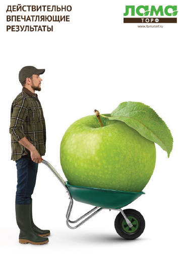 Результаты