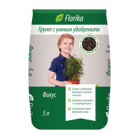 Фикус