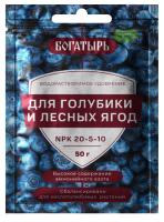 голубика_1слой