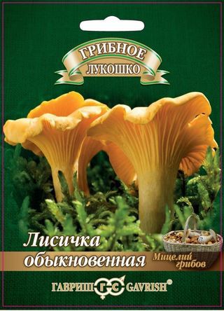 ГВ Лисички на зерновом субстрате, больш. пак. 15 мл