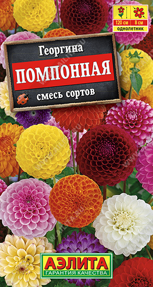 АЭ Георгина помпонная, смесь окрасок 0,3 г	