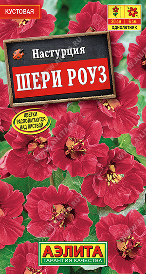 АЭ Настурция Шери Роуз 1 гр 
