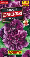 АЭ Шток-роза Королевская лиловая 10 шт
