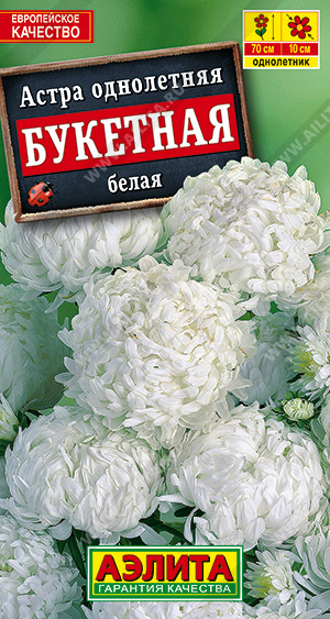 АЭ Астра Букетная белая  0,2г