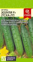 Lt019064