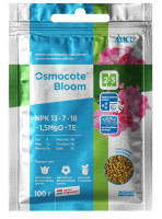 Bloom_лицо