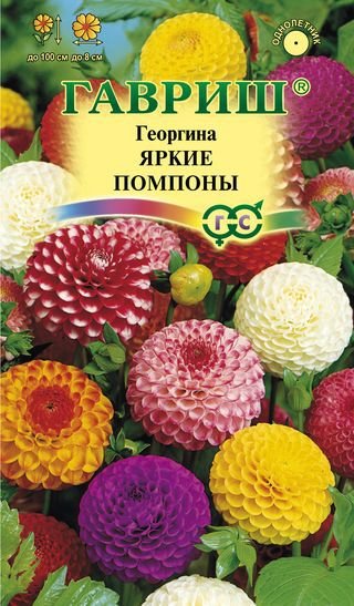 ГВ Георгина Яркие помпоны 0,2 г  Н12  