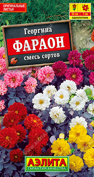АЭ Георгина Фараон, смесь окрасок 0,3 г	