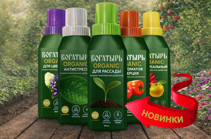 Уже в продаже – Флагманский ЖКУ Богатырь ORGANIC 